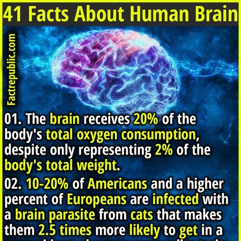 CHRISTMAS XMAS NEWYEAR BLACKFRIDAY THANKSGIVINGDAY GOODFRIDAY EASTER Human Brain Facts, Mind Blowing Thoughts, False Memories, Believe Yourself, Facts About Humans, Fact Republic, Irish Folklore, Brain Facts, Medical Facts