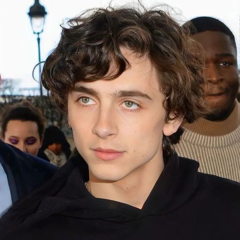 Beautiful Boy Timothee Chalamet, Tim Other Chalamet, Nerdy Men, Coriolanus Snow, Timmy T, Regulus Black, The Perfect Guy, Hot Actors, Timothee Chalamet