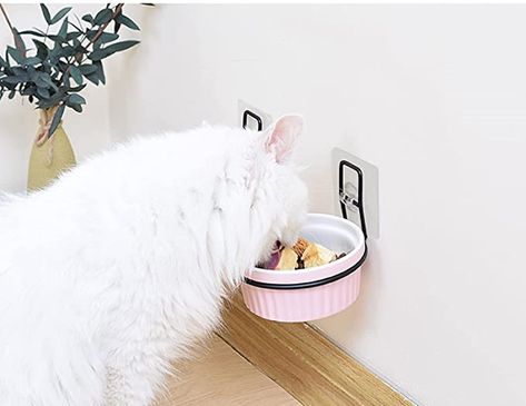 Dogs Things, Cat Food Dish, Cat Ceramic, Cat Products, Best Cat, Cat Feeding, Water Bowl, Happy And Healthy, Metal Stand