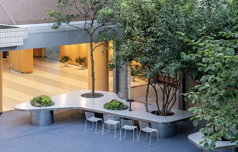 Tree Desk Garden, China by Daguan Landscape Design  A vivid garden in the center of a middle school campus Table Around Tree, School Garden Design, Office Garden Outdoor, Tree Desk, Desk Garden, Outdoor Learning Spaces, School Campus, Urban Furniture, School Garden