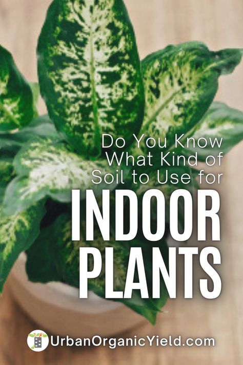 Enhance your indoor gardening skills by learning about potting soil. Discover the right mix for robust plant growth and how to create it yourself. We underline vital factors like nutrients, drainage, and aeration. See a simple way to make your own soil mix. Gear up to improve your indoor plants' strength today with this precise guide. Best Potting Mix For Indoor Plants, Diy Soil Mix For Indoor Plants, Best Soil For Indoor Plants, Soil Mix For Indoor Plants, Potting Soil For Indoor Plants, Soil For Indoor Plants, Indoor Plants Diy, Indoor Plants Styling, Plants Diy