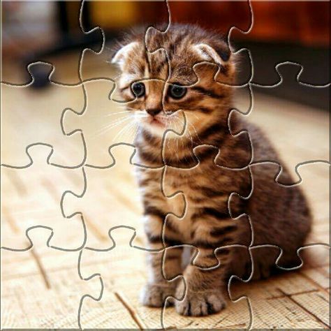 Cute cat Cute Tabby Cat, Cats Pictures, Tabby Cat, Cat Pics, Kittens Cutest, Jigsaw Puzzles, Cute Cat, Kittens, Animals