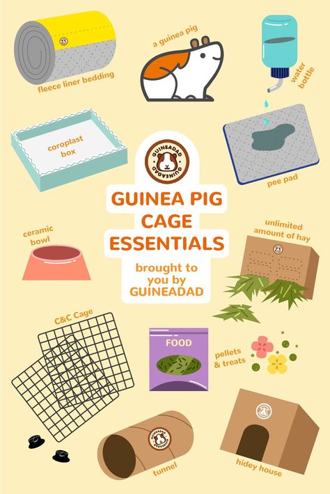 Gunie Pigs Cages, Guenia Pigs Cages Diy, Gunia Pig Cage Ideas, Diy Guinea Pig Treats, Guinea Pig Checklist, Small Guinea Pig Cage Ideas, Guine Pig Cage Ideas, Guine Pig Cage, Ginny Pigs Cages