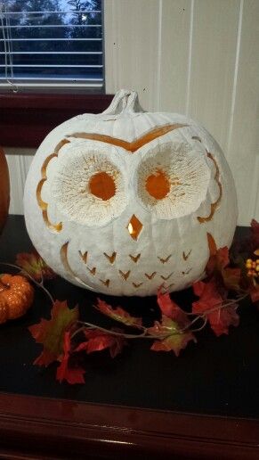 Owl jack o lantern White Pumpkin Owl, Owl Pumpkin Decorating, White Pumpkin Carving, Jacko Lanterns, Owl Jack O Lantern, Owl Pumpkin Carving, Owl Carving, Halloween Pumpkin Stencils, Halloween Pumpkin Crafts