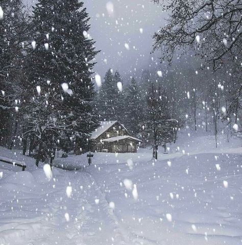 Snowy Scene, Snow Falling, I Love Snow, Snow Pictures, I Love Winter, Winter's Tale, Winter Love, Winter Magic, Winter Scenery