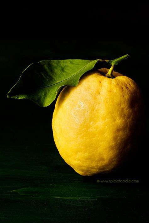 Plants Reference Drawing, Sorrento Lemons, Plants Reference, Lemon Still Life, Lemon Pictures, Plant Reference, Still Life Pictures, Visual Library, Perspective Drawing Lessons