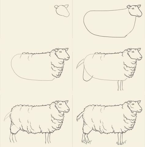 How To Draw Sheep, Draw Sheep, Drawing Tuts, Sheep Drawing, Sheep Paintings, Sheep Art, Drawing Animals, Game Ideas, The Sheep