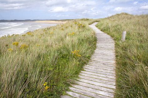 Landscaping Sand, Beach Pathway, Wood Pathway, Rv Port, Dune Landscape, Anglesey Wales, Coastal Landscaping, Coastal Architecture, Home In The Woods