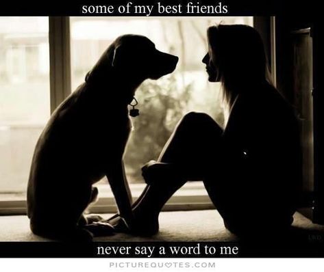 Some of my best friends.... friendship quote dog friend pets friendship quote friend quote poem friend poem Labrador Quotes, Cute Dog Quotes, Labrador Funny, Dog Quotes Love, Love My Dog, Labrador Dog, Weimaraner, Dog Photography, Dog Quotes