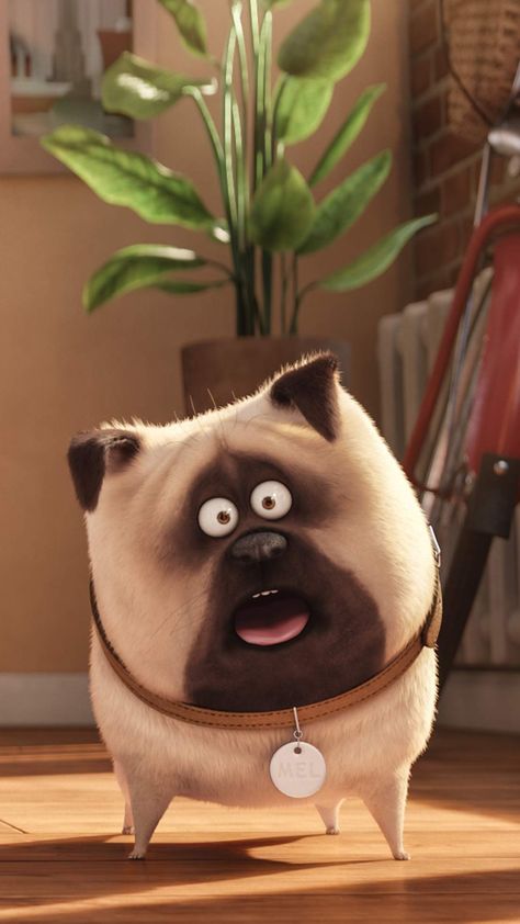 Pet Pug, Frenchie Bulldog, Secret Life Of Pets, Cartoon Shows, Secret Life, Better Life Quotes, Animation Film, Disney Wallpaper, Piggy Bank