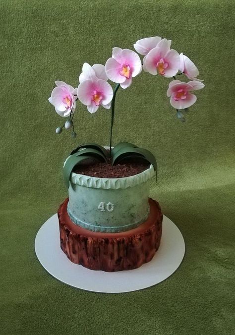 Orchid cake by MoMa Orchid Cake Ideas, Gentlemen Cake, Petit Cakes, Garden Theme Cake, Flower Pot Cake, Extreme Cakes, Orchid Cake, Pot Cake, Pot Cakes