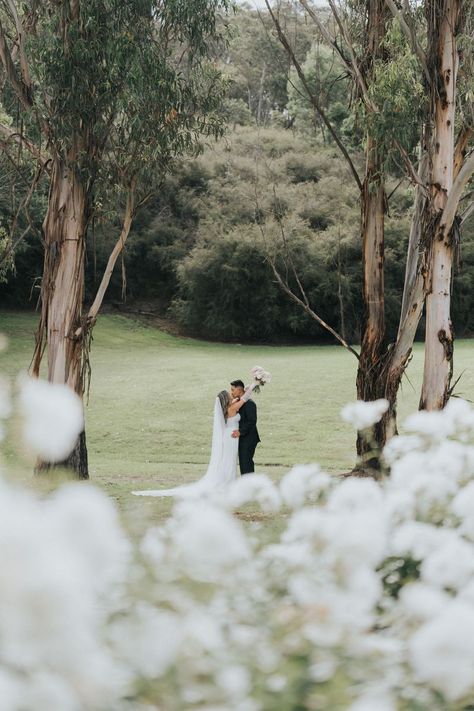 The large gumtrees and manicured rose bushes at Bramleigh Estate - picture perfect frame for that special photo Photography: 📸Silas Chau Bramleigh Estate, Bush Wedding, Gum Tree, Rose Bushes, Outdoor Wedding Photography, Yarra Valley, Rose Bush, Wedding Photography Inspiration, Photo Photography