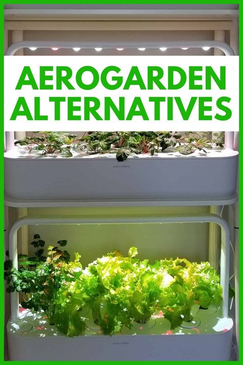 A picture of a Click and Grow Smart Garden 27 growing lettuce, herbs, and strawberries with text overlay that says AeroGarden Alternatives. Aerogarden Hack, Aerogarden Ideas, Aerogarden Diy, Aero Garden, Growing Food Indoors, Growing Tomato Plants, Growing Your Own Food, Gmo Foods, Grow Food