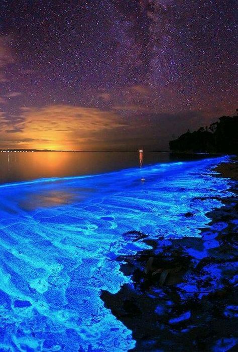 Australian Sunset illuminated with the blue glow of bioluminescent algae. Jervis Bay, Sea Of Stars, Amazing Nature, Belle Photo, Maldives, Beautiful Beaches, Night Sky, Beautiful World, Beautiful Landscapes