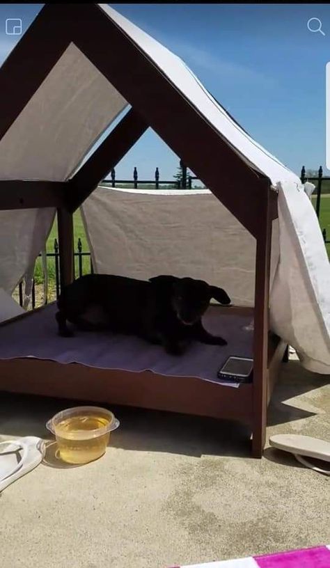 Doggie Cabana Diy Outdoor Dog Bed With Canopy, Diy Dog Cabana, Dog Shelter Aesthetic, Dog Cabana, Dyi Dog Bed, Dog Canopy Bed, Backyard Dog Area, Dog Play Area, Dog Backyard