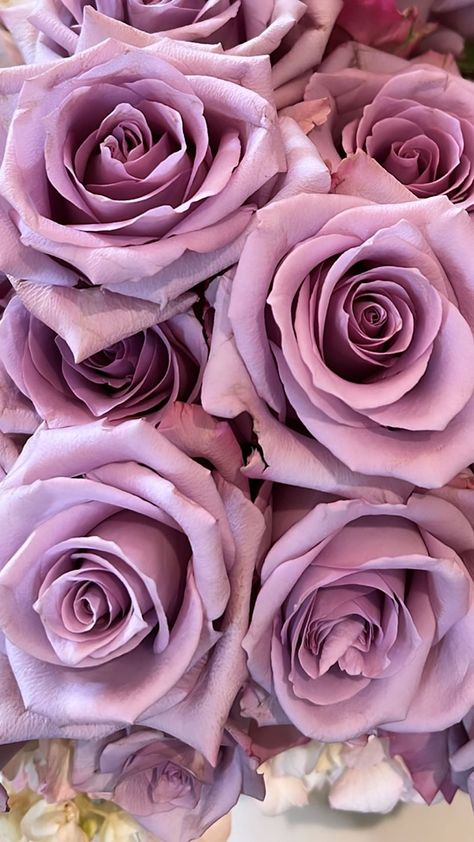 Instagram Roses, Pretty Phone Wallpaper, Roses Are Red, Pink Bouquet, Plant Mom, Types Of Flowers, Pink And Purple, Rose Bouquet, Purple Floral