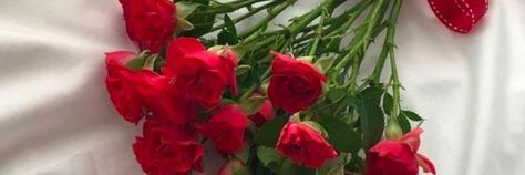 Flower Header, Red Banner, Beautiful Red Roses, Red Aesthetic, Red Flower, Twitter Header, Icon Pack, Red And Grey, Red Flowers