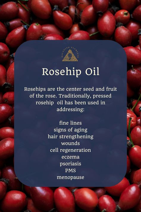 Rosehip oil is a powerhouse of nutritious and therapeutic compounds. Learn about the top 3 uses on our blog! Rosehip Benefits, Herbs Medicine, Rosehip Oil Benefits, Best Curly Hair Products, Potions Recipes, Nails Health, Salve Recipes, Essential Oils 101, Essential Oil Diffuser Blends Recipes