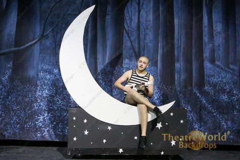 Gray Full Moon Scenic Stage Backdrop Rental | TheatreWorld® Backdrops The Moon And Me Addams Family, Backdrop Rental, Moon Backdrop, Addams Family Musical, Theatre Ideas, Addams Family Costumes, Fiddler On The Roof, Set Dressing, Cats Musical