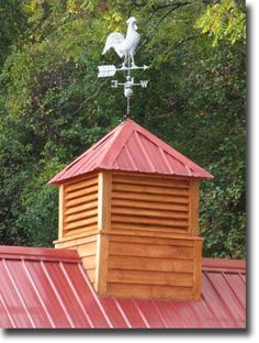 Cupola and metal roof. Need for our new barn. Diy Cupola How To Build, Coupalas On House, Coupalas Ideas, Weathervanes Ideas Diy, Barn Cupola, Weather Vanes, Barn Plans, Potting Sheds, Barn Design