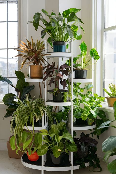 Diy Plant Stands Indoor, Indoor Plant Shelf Ideas, Diy Plant Stand Indoor, Easy Diy Plant Stand, Indoor Corner Plant Stand, Plant Shelf Ideas, Indoor Plant Shelf, Old Bookshelves, Indoor Plant Shelves