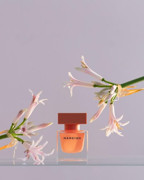 Laure Sée (@laure_see) posted on Instagram: “@narciso_rodriguez with @tara_msellati_flowers 🧡 . . . . #lauresee #photography #artoftheday #photooftheday #contemporaryart #stilllife…” • Feb 17, 2021 at 6:28pm UTC Narciso Perfume, Perfume Orange, Amber Perfume, Fragrance Photography, Flower Perfume, Perfume Photography, Modern Magic, Vanilla Perfume, Beauty Products Photography