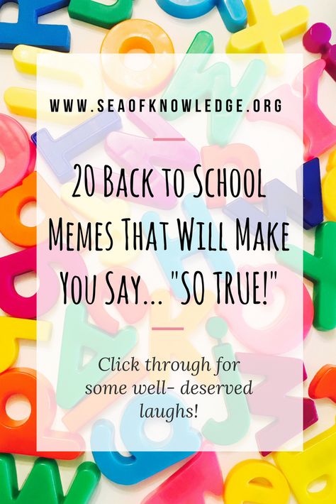 Back to School Funny Quotes That Make Will Make You Say “So True!” Back to school time isn't a teacher's favorite time of the year, here are a list of 20 real-life TRUE moments that all teachers could relate to! Click through to laugh and read 20 funny back to school quotes that will make teachers say SO TRUE! #teachers #backtoschool #backtoschoolquotes #teachermemes #teacherhumor Funny School Sayings, Back To School Humor For Teachers, School Starting Quotes Funny, Teacher Quotes Funny Motivational, First Day Teacher Quotes, Motivational Quotes For Teachers Funny, Back To School Teacher Quotes Funny, Back To School For Teachers Quotes, Quotes About School Funny