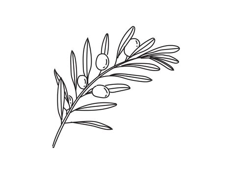 Download the Outline olive branch vector 5263715 royalty-free Vector from Vecteezy for your project and explore over a million other vectors, icons and clipart graphics! Olive Branch Clip Art, Olive Svg Free, Olive Branch Vector, Olive Branch Outline, Olive Branch Sketch, Olive Branch Drawing, Sorry Mom Tattoo, Psychology Business, Gourd Painting