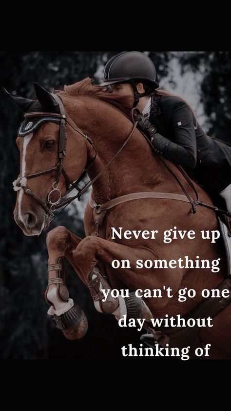 Horse Wallpaper With Quotes, Quote About Horses, Equestrian Life Quotes, Equestrian Quotes Inspirational, Horse Quotes Meaningful, Horseback Riding Quotes, Cute Horse Quotes, Horses Quotes, Equine Quotes