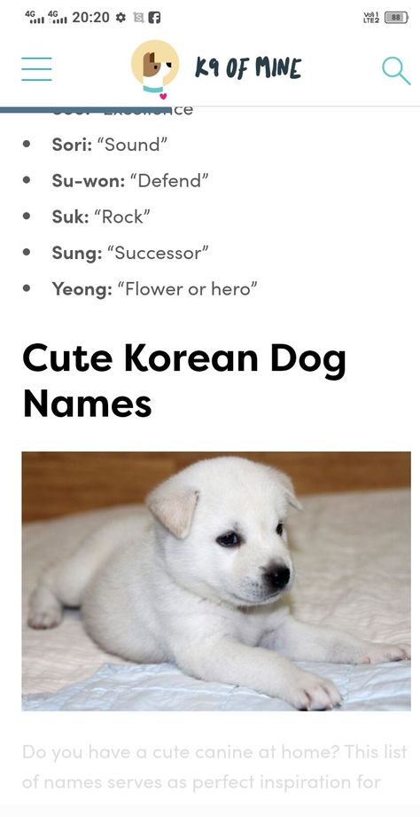 Korean Dog Names, Korean Boy Names, Asian Dogs, Cute Names For Dogs, Sign Language Words, Flower Wallpapers, Puppy Names, Cute Flower Wallpapers, Cute Names