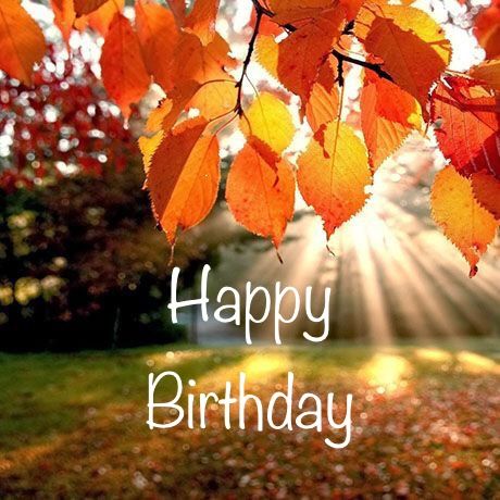 Happy Birthday Autumn Images, Happy Birthday Fall Images, Fall Birthday Wishes, Niece Birthday Wishes, Birthday Celebration Quotes, Happy Birthday Hd, Happy Birthday Cat, Happy Birthday Man, Hbd Quotes