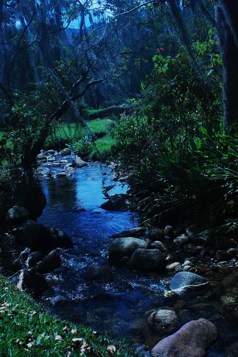 Beautiful Nature Secret Garden Aesthetic, Dreamy Scenery, Kingdom Aesthetic, Pretty Scenery, Forest Stream, Nature Sunrise, Nature Enthusiast, Forest Night, Moss Garden