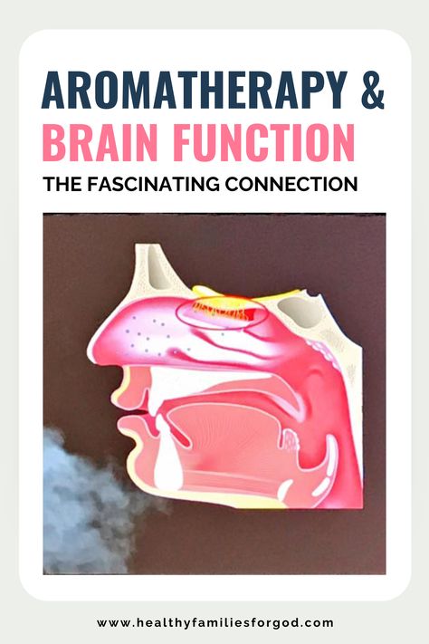 Discover the fascinating connection between aromatherapy and brain function! 🌿🧠 Learn how essential oils stimulate the brain, enhancing mood, memory, and mental clarity. Uncover the science behind this powerful wellness practice and boost your brain health naturally! #aromatherapy #brainfunction #essentialoils #holistichealing #mentalclarity Science Learning, Smells Good, Mood Enhancers, Healthy Families, Brain Function, Holistic Healing, Mental Clarity, Brain Health, Your Brain