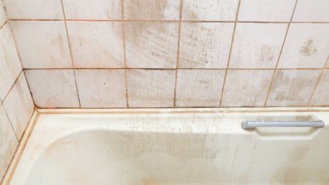 Is Pink Mold in the Shower Dangerous? Mold Experts Weigh In + How To Clean It With Ease Pink Mold, Reglaze Bathtub, Mold In Bathroom, Refinish Bathtub, Cleaning Mold, Deep Cleaning Tips, Bathroom Tub, Diy Cleaners, Polish Remover