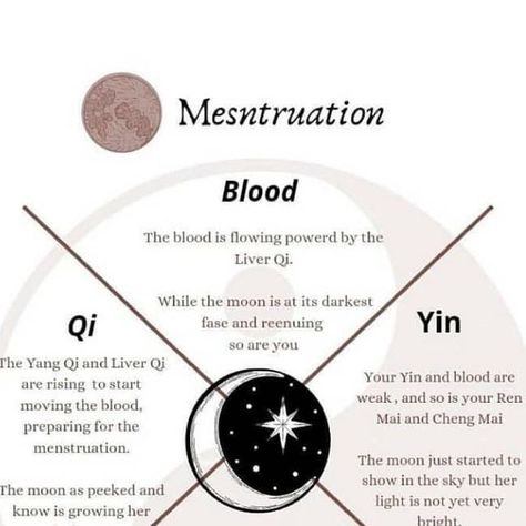 Menstrual Phase, Eat Protein, Basal Body Temperature, The Menstrual Cycle, Acupuncture Points, Traditional Chinese Medicine, Chinese Medicine, Acupuncture, Traditional Chinese