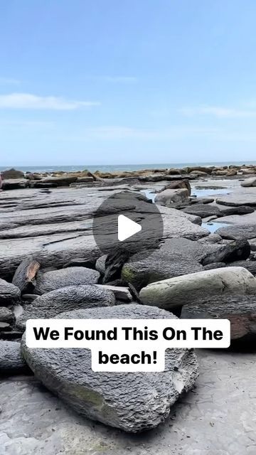 38K views · 3.1K likes | THE GEOLOGY | CRYSTALS on Instagram: "@yorkshire.fossils This large Hildoceras ammonite fossil would have swam the Jurassic coast alongside the Ichthyosaurs, Plesiosaurs, fish and crocodiles! 🐊🐛 It’s around 185 Million Years Old, but some fossils can date back to even much longer ago than this! 🦕🦖

#geology
#geologia
#geologypage
#geologyrocks
#geologylife
#fossil
#fossils
#fossilhunter
#fossilfriday
#fossilcollection
#paleontology
#paleontologia
#paleoart
#paleoartist
#dinosaur
#dinosaurios
#dinosaurs
#trilobite
#ammonite
#geode
#minerals" Trilobite Fossil, Geology Rocks, Jurassic Coast, Ammonite Fossil, Paleo Art, Crocodiles, Rock Hounding, Geology, Crystals And Gemstones