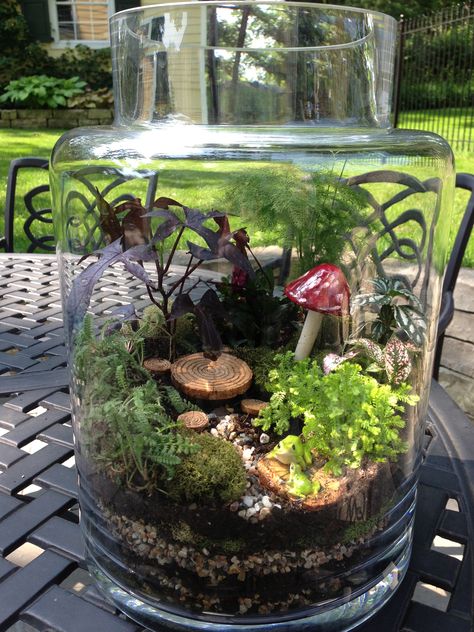 Woodland Terrarium I made. Kodama Terrarium, Woodland Terrarium, Bottle Terrarium, Play Garden, Sensory Crafts, Fairy Forest, Plant Ideas, Garden Terrarium, Tiny World