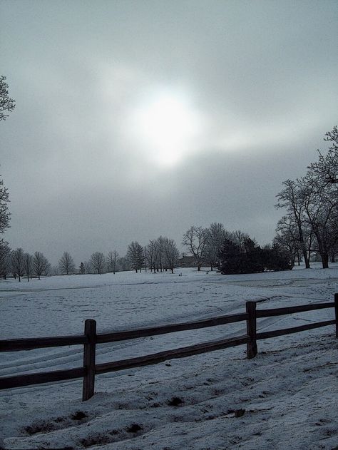 ...the meadow in December, Winter Meadow, Sun Song, Midnight Sun, The Meadows, Winter Time, Sun