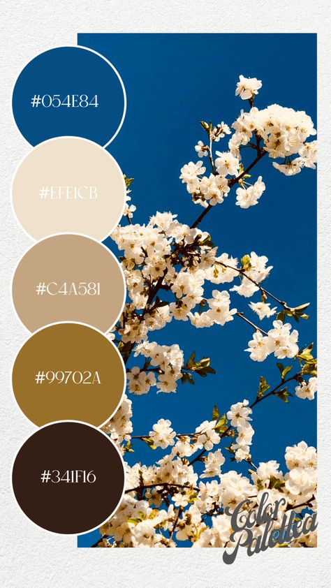 Pantone Spring 2023, Spring 2023 Color Trends, Spring Nail Colors 2023, Nails 2023 Color Trends, 2023 Color Trends, Nail Colors 2023, Pantone 2024, March Colors, August Colors