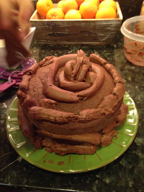 Homemade Poop Cake Poop Cake Ideas, Poop Cake Birthdays, Poop Cake, Cake Meme, Flat Cakes, Meme Design, Cake Ideas, Vision Board, Birthday Cake