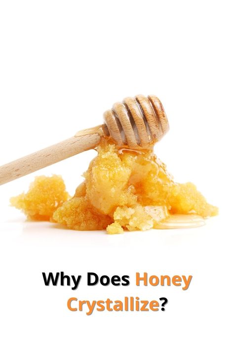 Honey is a natural sweetener but have you ever wondered why it sometimes crystallizes? Crystallization occurs when glucose molecules in the honey bond together to form crystals. The speed of crystallization depends on factors such as temperature and the type of nectar the bees used. While some may prefer their honey in its liquid form, crystallization is a natural process and does not affect the quality or taste of the honey. Warming the honey jar in warm water can return it to its liquid state. Crystalized Honey, Honey Crystalized, Honey Do, Honey Water, Honey Jar, Raw Honey, Natural Sweeteners, What Happens When You, Warm Water