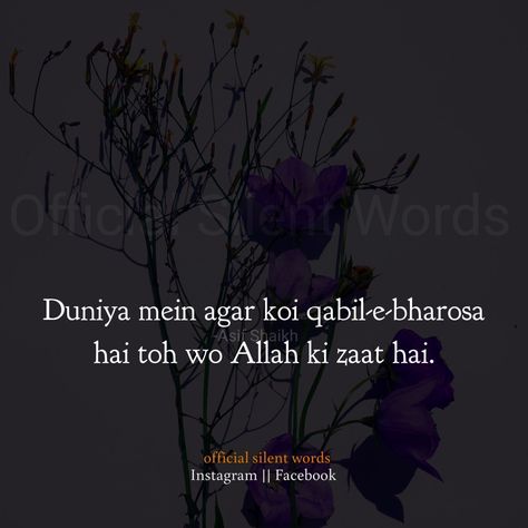 Bharosa Bharosa Quotes, Silent Words, Patience Quotes, Urdu Love Words, Best Islamic Quotes, Marriage Quotes, Beautiful Rose Flowers, Couple Videos, Rose Flowers