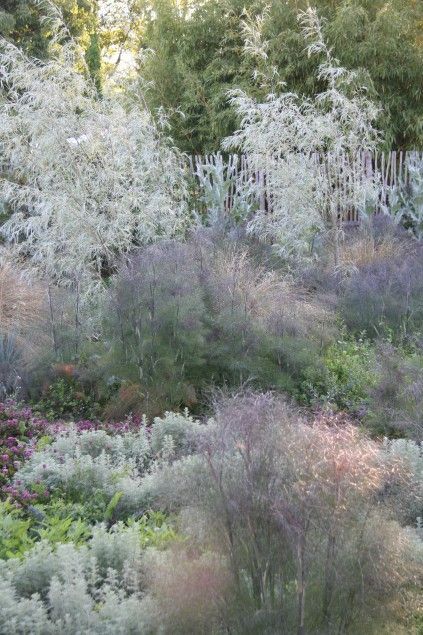 Pots Diy, Prairie Garden, Meadow Garden, Dry Garden, Grasses Garden, Moon Garden, Mediterranean Garden, The Secret Garden, Natural Garden