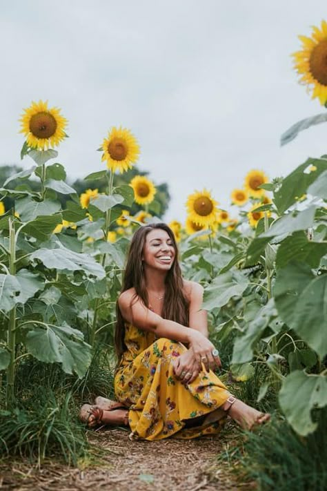 Sunflower Field Photography, Sunflower Field Pictures, Rauch Fotografie, Summer Senior Pictures, Sunflower Patch, Sunflower Photography, Sunflower Photo, Sunflower Pictures, Flower Photoshoot