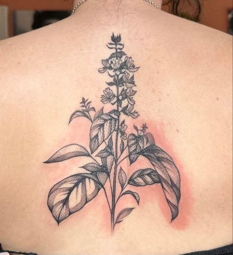 Basil Leaf Tattoo, Basil Tattoo, Herbs Tattoo, Back Spine Tattoo, Herb Tattoo, Basil Herb, Leaf Tattoo, Basil Leaf, Basil Plant