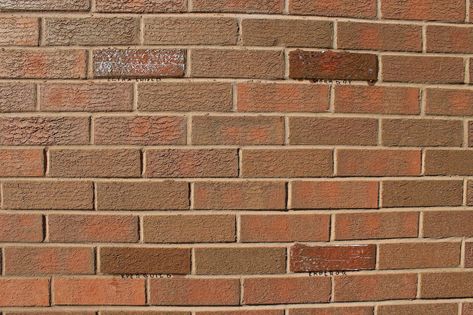 Best Brick Sealer: We Tested & Compared Wall Sealers Brick Sealer, Pest Control Plants, Plant Guide, Water Beads, Pool Water, Water Droplets, Exterior Brick, Save Energy, Color Change