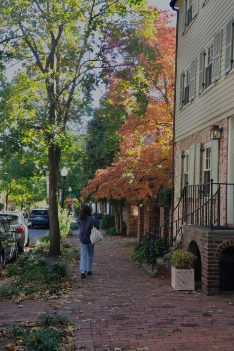 Georgetown Dc Aesthetic, Georgetown Aesthetic, Autumn Ambience, Orange Season, October Sky, Blinded By The Light, Boston Mass, Fall Camping, Autumn In New York