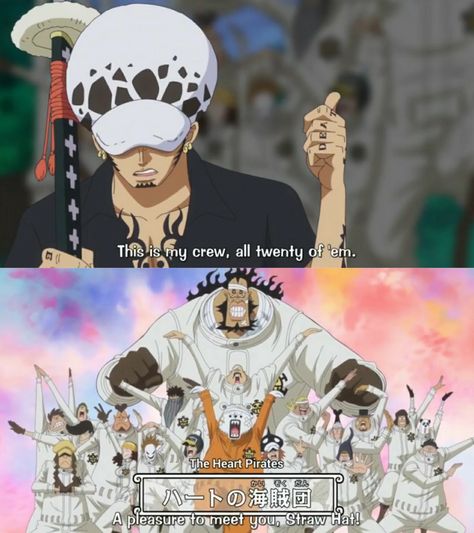 Trafalgar Law Heart Pirates, Bepo And Law, Bepo One Piece, Law Trafalgar, Heart Pirates, One Piece Meme, One Piece Crew, One Piece Funny, One Peice Anime