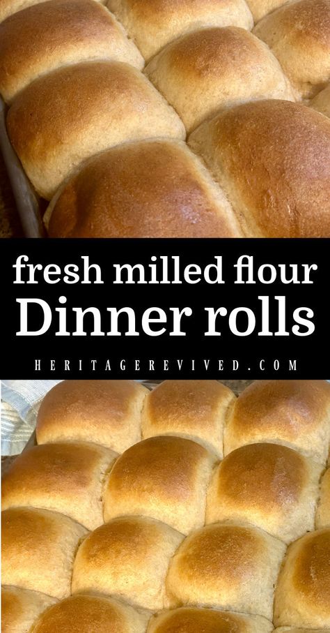 Browned dinner rolls with text "fresh milled flour dinner rolls" Fresh Milled Flour Pie Crust Recipe, Fresh Milled Dinner Rolls, Fresh Milled Rolls, Fresh Milled Pie Crust, Fresh Milled Flour Rolls, Fresh Milled Flour Muffins, Freshly Milled Flour Recipes, Fresh Milled Flour Recipes, Whole Wheat Dinner Rolls Recipe