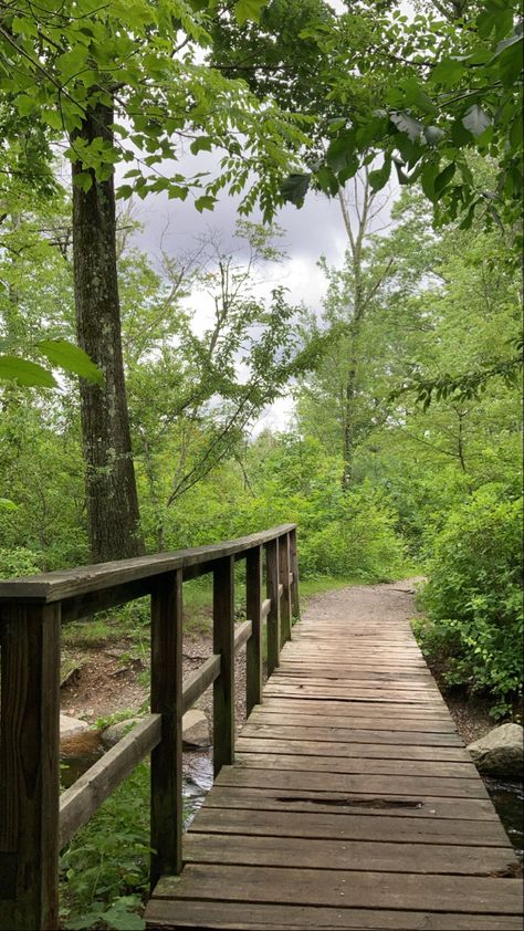 Morning Hike Aesthetic, Hiking Trails Aesthetic, Hiking Trail Aesthetic, Summer Hiking Aesthetic, Hike Aesthetic, Weekend Aesthetic, Bach Weekend, Dream Life Goals, Wellesley College